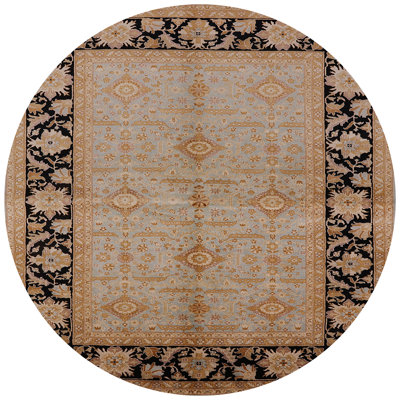 Raghi Oriental Indoor Rug