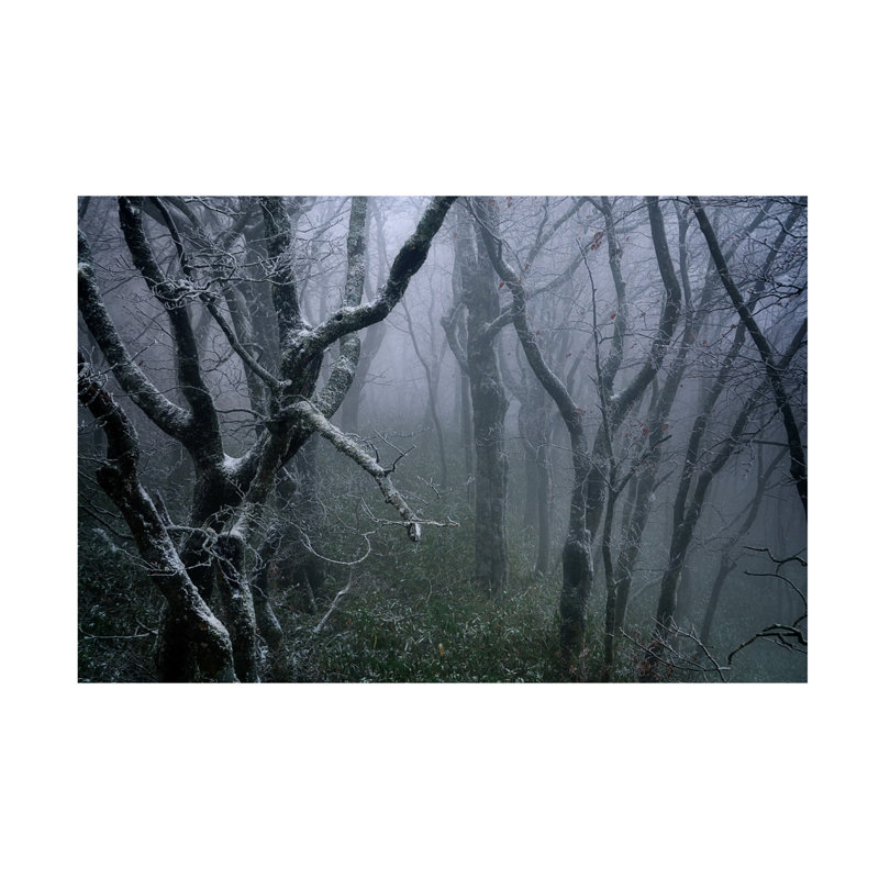 Art mural sur toile tendue - Sho Shibata «Misty», art mural pour salon, chambre à coucher ou bureau - 12 x 19