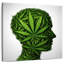 Marijuana Minded-109210472