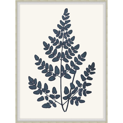 Bracken Blues 4 Framed Print
