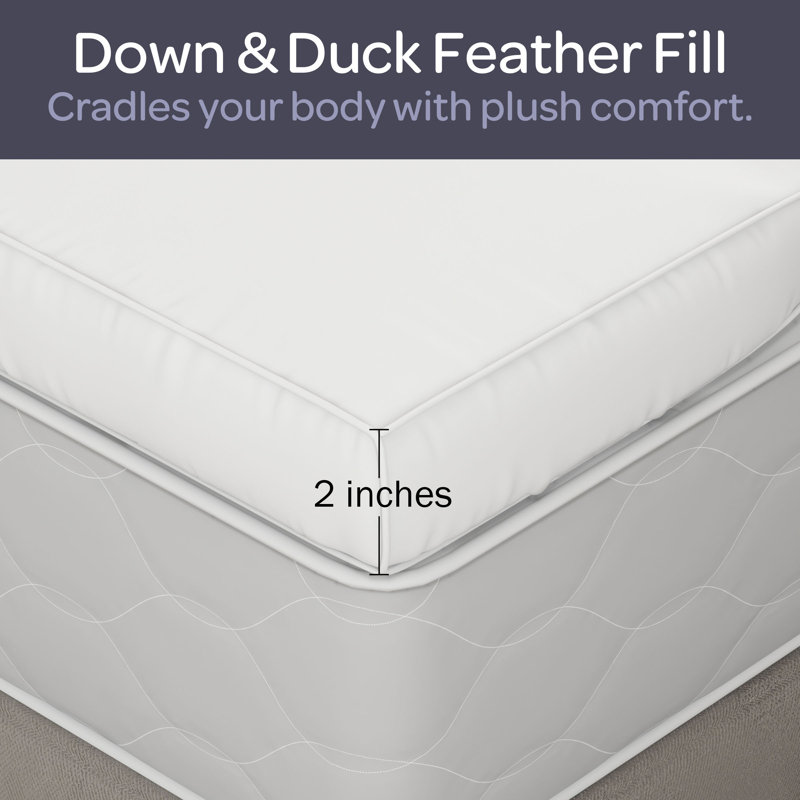 Plymouth Home Down Mattress Topper - Twin 2-Inch 100% Duck Feather Gusset Bed with 233 Thread Count Cotton Mattress Topper Cover - Plush Pillow Top for Cushion and Support 