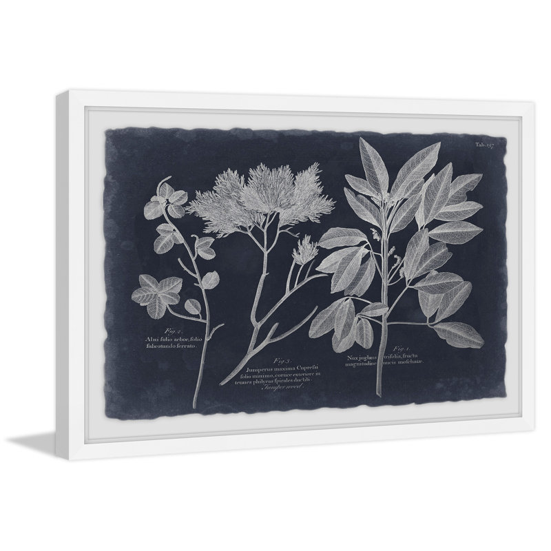 Foliage on Navy VII - reproduction de cadre photo, H 30 po x l 45 po x P 1,5 po