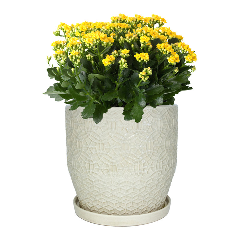Pot à fleurs Grettei, 13 po x 13,05 po x 13,20 po