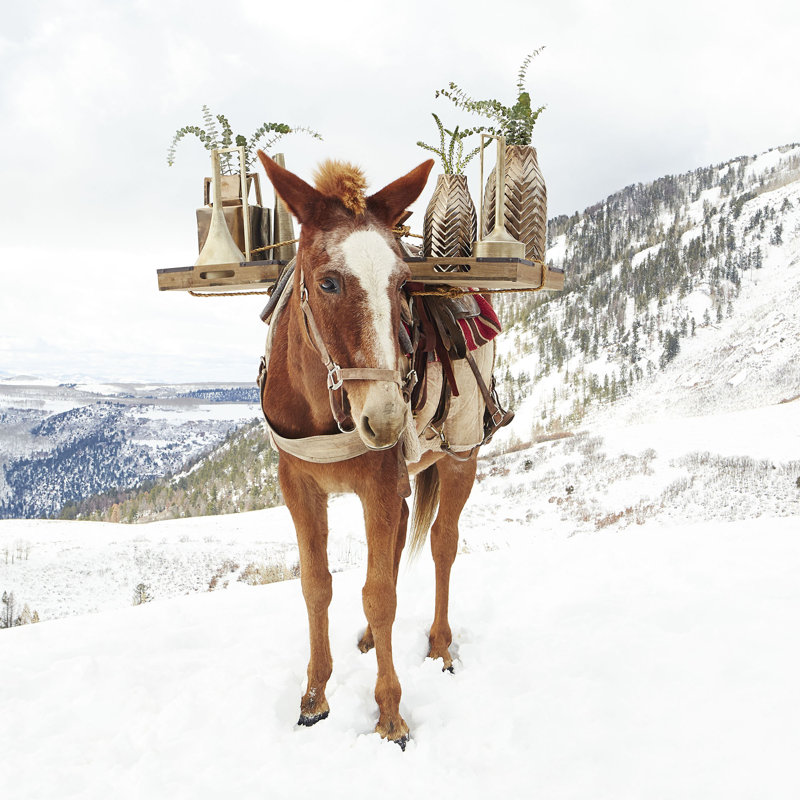 Hangiing Around Gold Metal Decorative Bottles