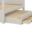 Upholstery Canopy Platform Bed With Trundle-1686800388