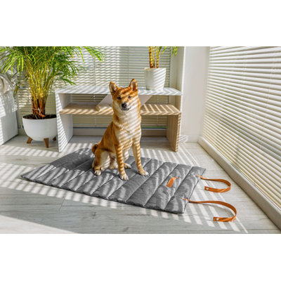 Tremaine Pet Bed