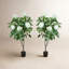 Danao City 5' Hydrangea Drop-In Trees