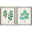 Botanical I Set by THE Studio