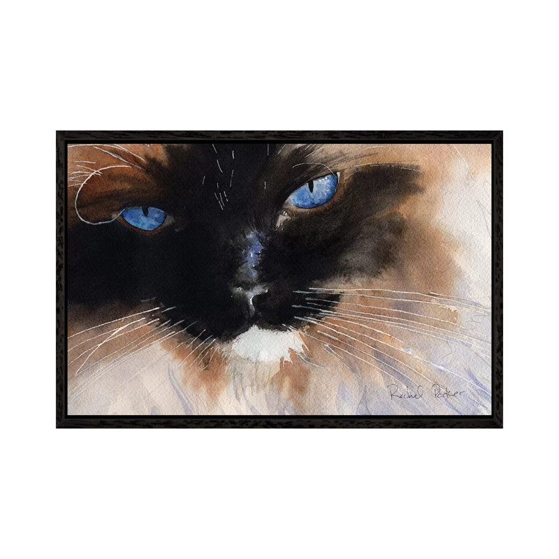 Ragdoll Eyes by Rachel Parker - Painting on Canvas, 66.04 cm H x 45.72 cm W, Black Framed