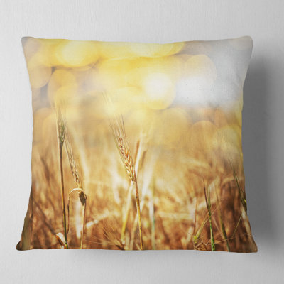 Coussin Brown