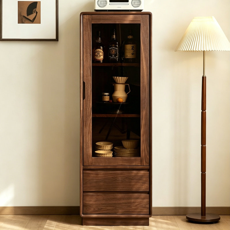 Modern minimalist display and storage cabinet