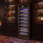 Armoire à vin autoportante, refroidisseur à vin élégant avec porte en verre résistante aux rayons UV, éclairage DEL et support de rangement-125836040