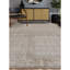 Wool Oriental Area Rug in Brown