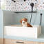Linwald 36" Free Standing Single Basin Stone Composite Dog Washing Station-988465206