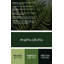 Art mural en métal Botanical Christmas Fern-2039828612