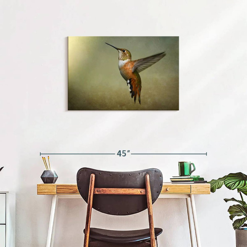 Colibri roux Brampt femelle, H 20 po x l 30 po