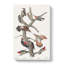 Collection Of Woodpeckers - Wrapped Canvas Painting-55370811