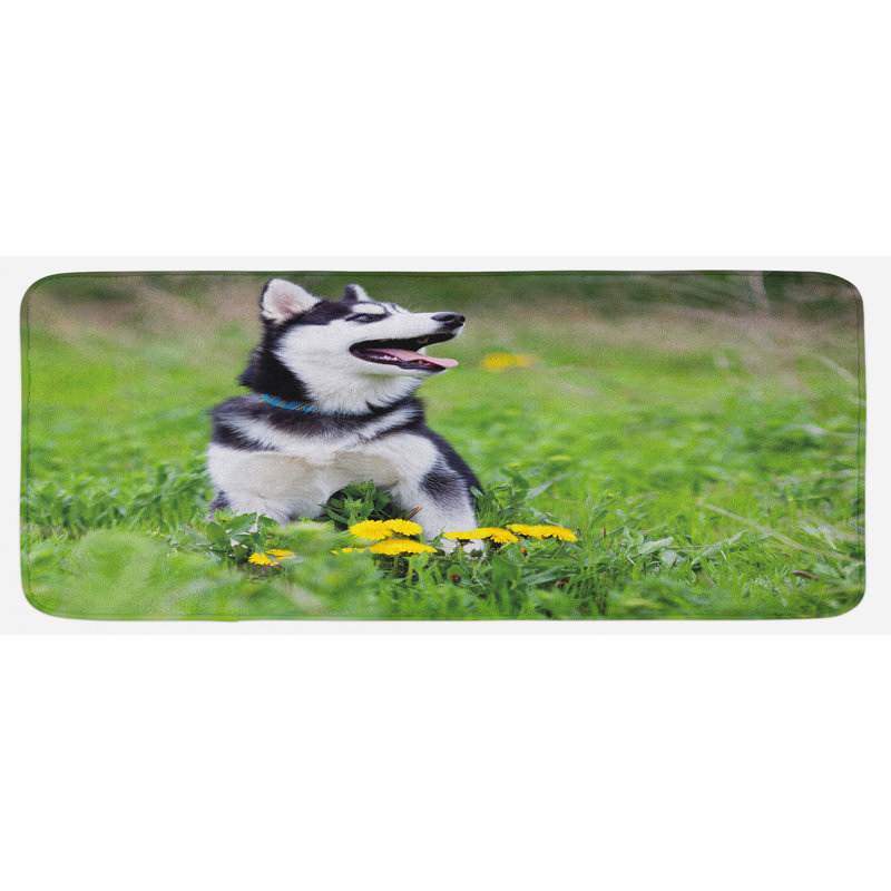 Tapis de cuisine en multicolore naturel à partir de vert herbe spring