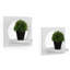 Ensemble de 2 tablettes murales Agran