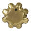 Plaque murale succulente