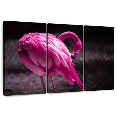 Magnifique flamant rose