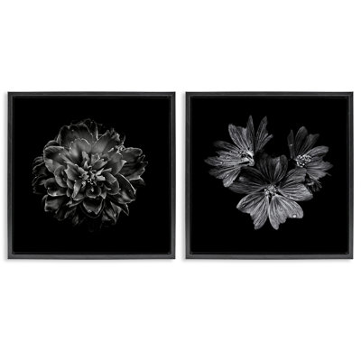  «Blossoms with Water Droplets», ensemble de 2 toiles flottantes encadrées par Brian Carson