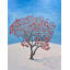 Tree Of Roses Print by Tom Blood