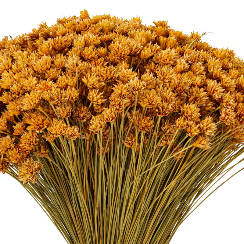 Bouquet de 14 po Hil Natural, Vert