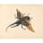 Hercules Beetle (ca. 1758)