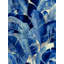 Feathers of Blue-1683973070