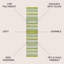 Aliyaah Gradient Ticking Striped Green/Blue Rug-848966246
