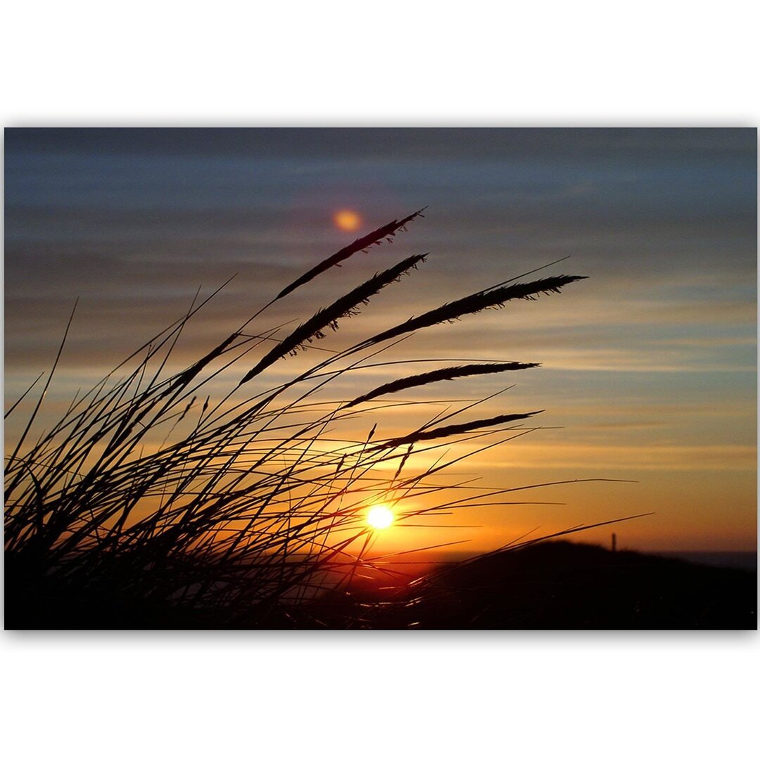 Leinwandbild Gras und Sonnenuntergang