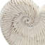 Boîte à fleurs sable et ciment Nautilus-362440662