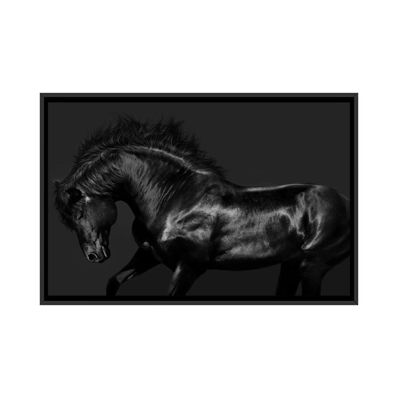 «Black on Black», impression sur toile, H 18 po x l 26 po x P 1,5 po, Toile avec cadre noir, Pas de tapis