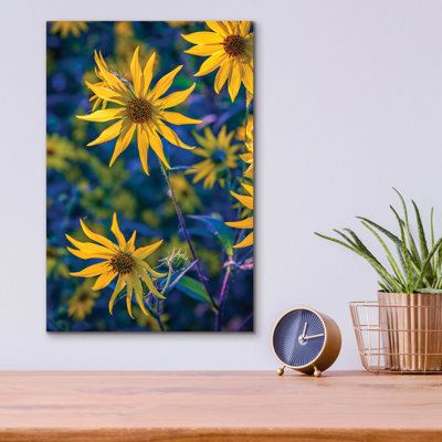 " Helianthus Giganteus II " by Rick Berk
