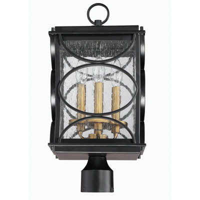 Gold Seeded Lantern Head