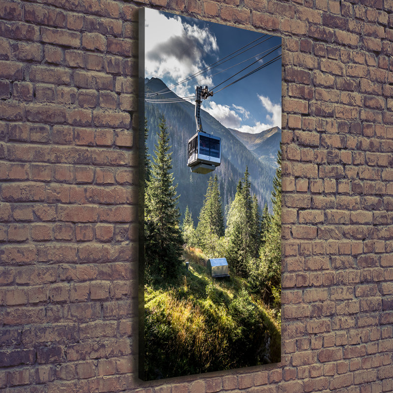 Roller Coaster - Wrapped Canvas Print