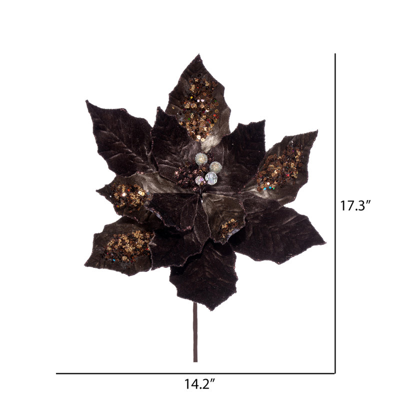 Tige de poinsettia, Moka