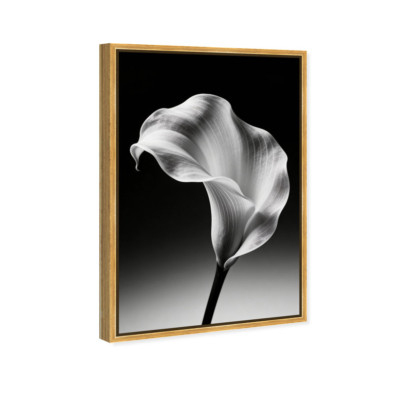 Petal Wave Print by Oliver Gal, 37" H x 25" W, Gold Floater Frame
