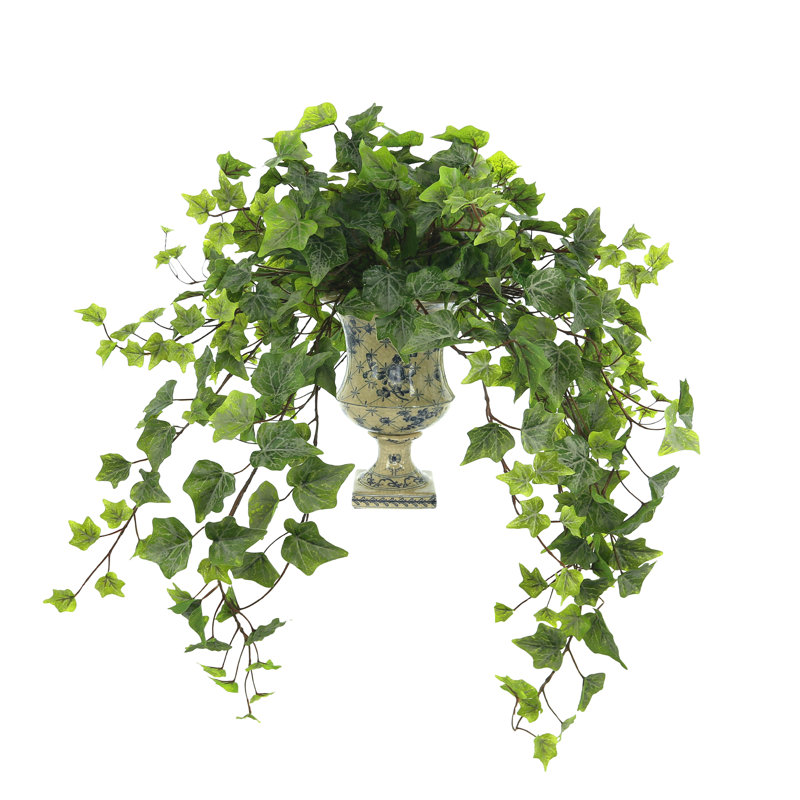Plante lierre artificielle 10 po Rio