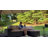 9-Piece Outdoor Replacement Cushion Set Seat/Back Cushion (Set Of 3 Seats , 5 Backs,  1 Footrest)-1999670917