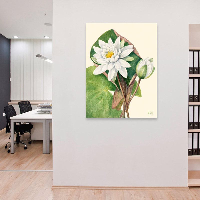 American Waterlily, 1920 1 Piece Wrapped Canvas Painting, 70cm H x 50cm W x 4cm D