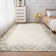 Machine Washable Rug with Rubber Backing for Living Room Abstract Non-Slip Dining Room Rug Bordered Printed Faux Wool Rugs for Bedroom Floor Carpet for Office Nursery Playroom