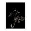 « scratching rodeo i », impression sur toile tendue-1548256625