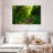 Forest Stream-1705934037-1705934040