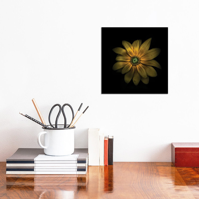 Green Center Daisy by Brian Carson - Wrapped Canvas Print, 30.48 cm H x 30.48 cm W