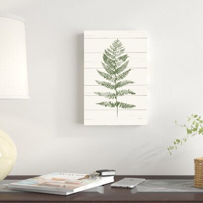 Fern Print II by Moira Hershey- Wrapped Canvas Graphic Art Print -  Gracie Oaks, 90AC1157F7BC4D988ADD483D06169247