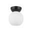 Arcadia 1 - Light Flush Mount-1507238945-1507238944