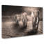Trio Of Elephants In Abstract - Wrapped Canvas Print-55303026