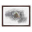 A Crisp White Rose - Picture Frame Painting Print-56739688-56739687